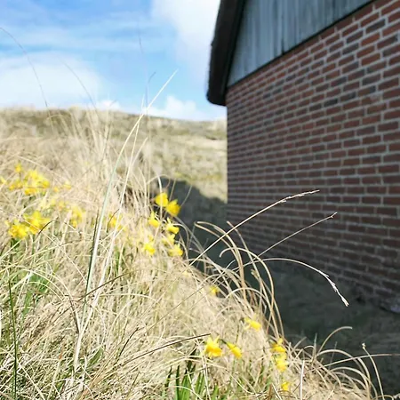 Holiday home Iivari - 1-5km From The Sea In Western Jutland By Interhome *